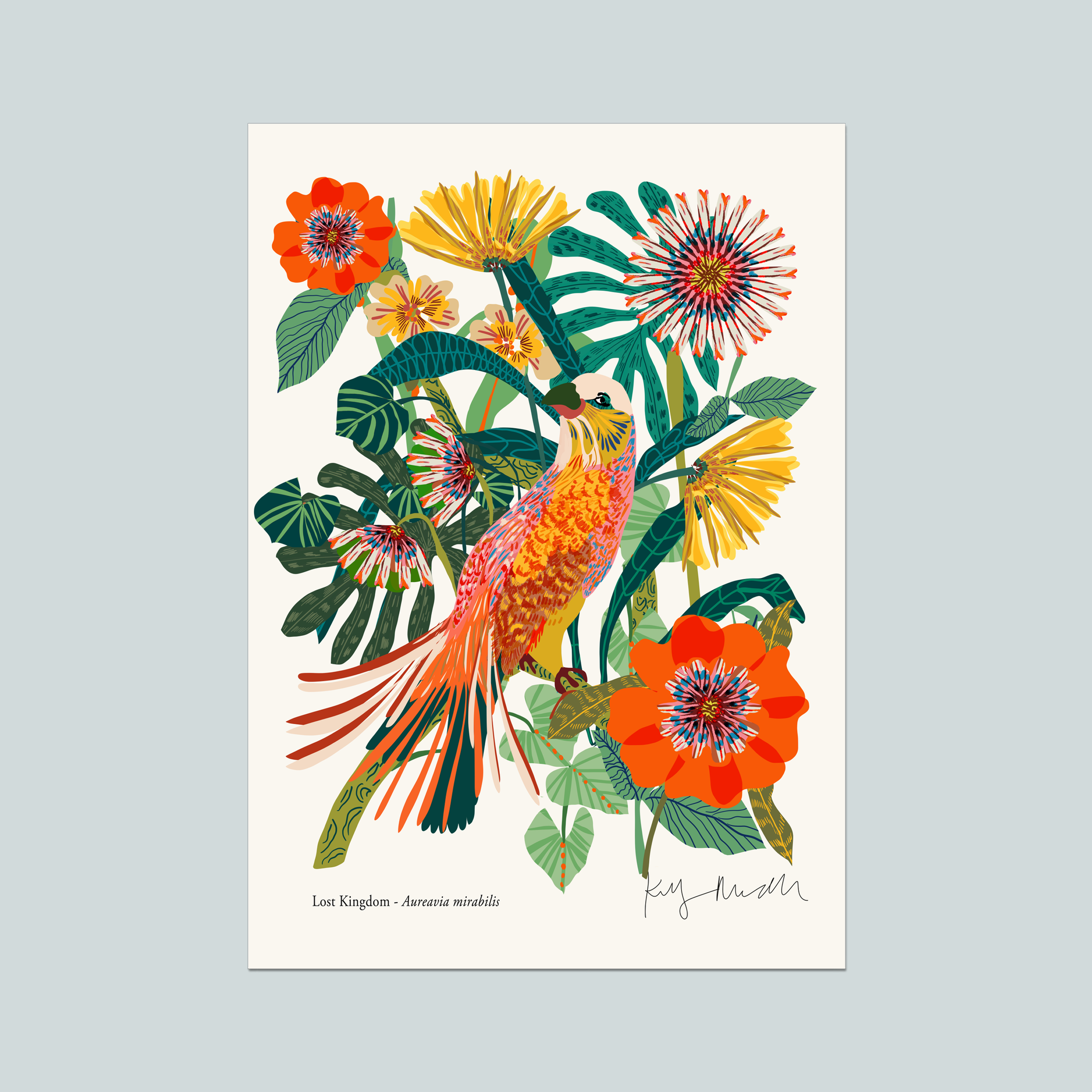 Aureavia Mirabilis botanical fine art print unframed by Kitty McCall