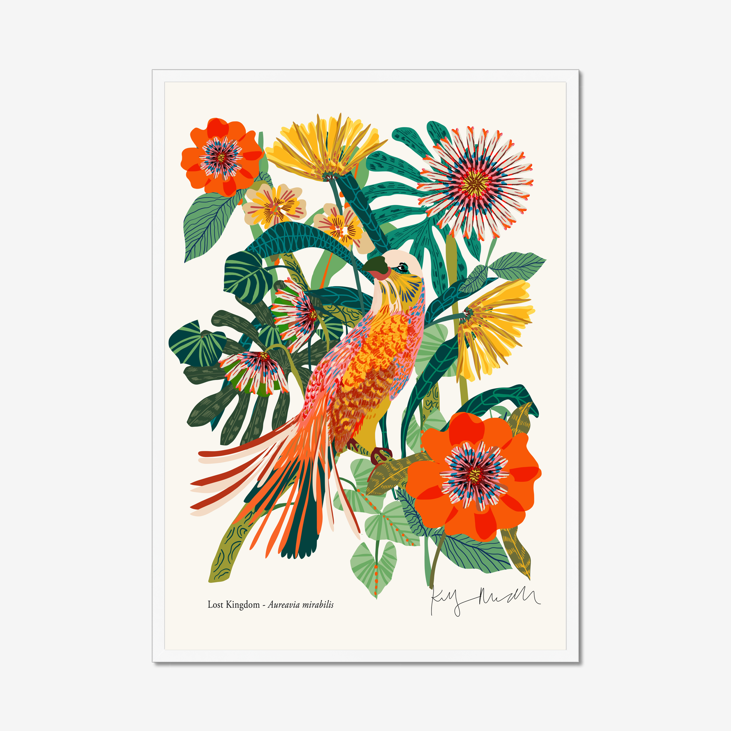 Aureavia Mirabilis botanical fine art print in white frame by Kitty McCall