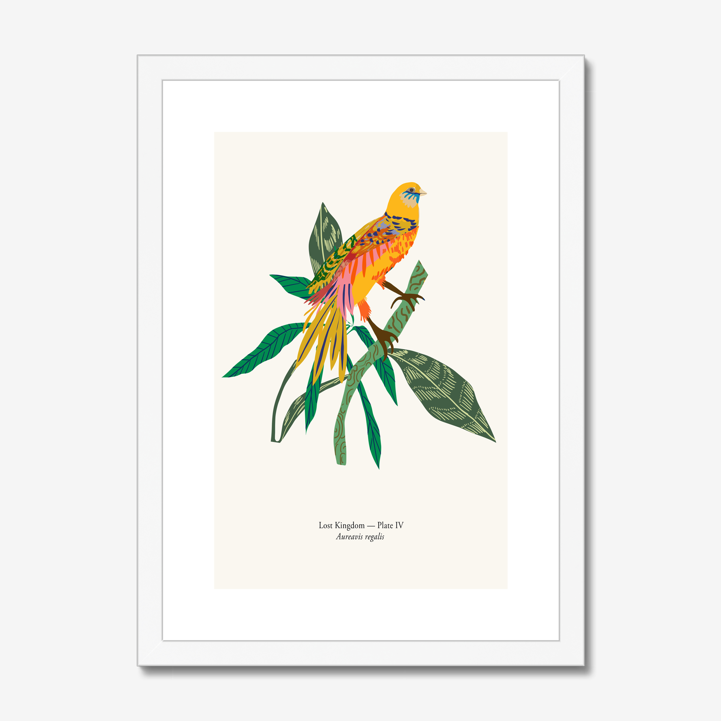 Aureavis Regalis botanical bird art print in white frame