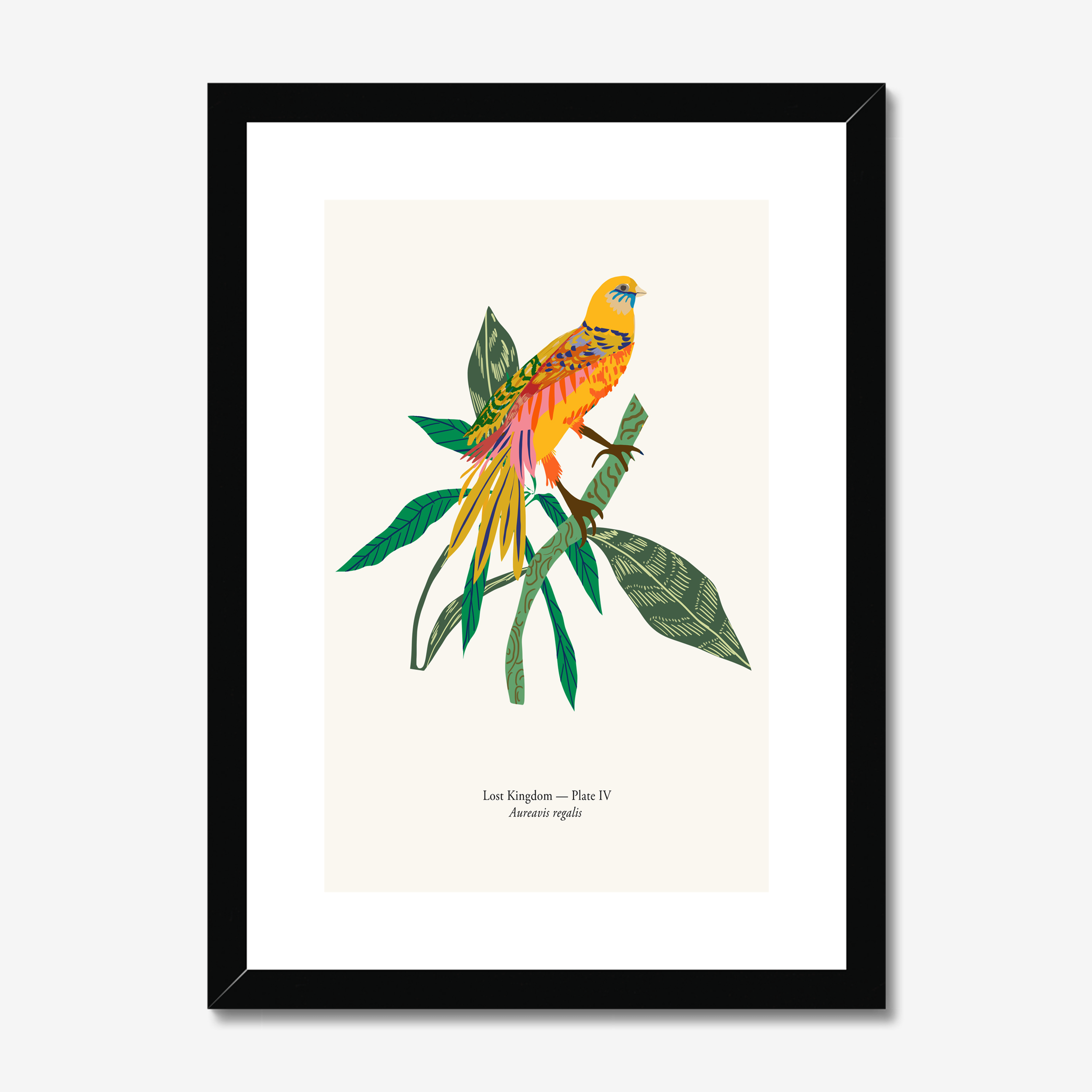 Aureavis Regalis botanical bird fine art print from the Lost Kingdom series by Kitty McCall