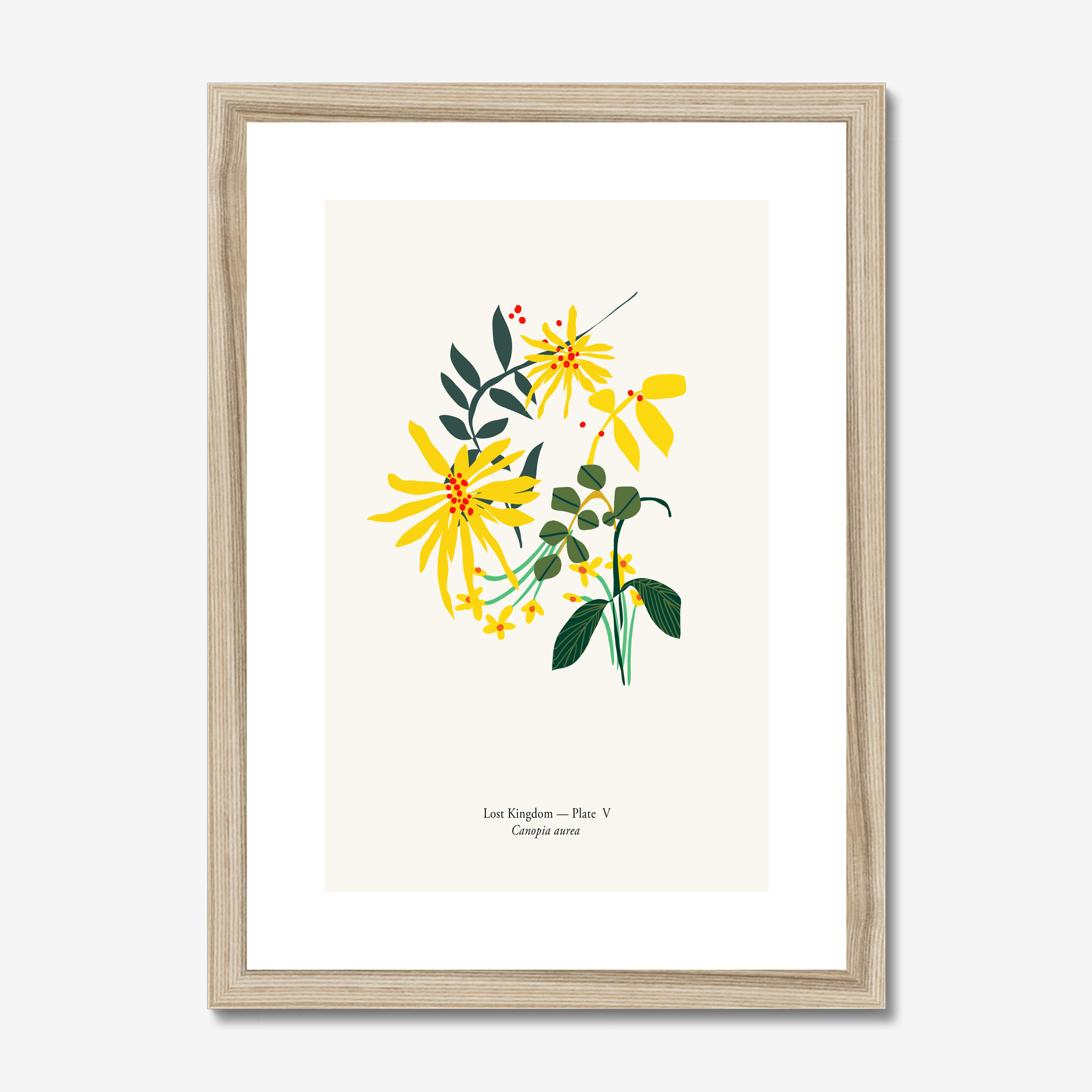 Canopia Aurea A4 botanical art print in natural oak frame