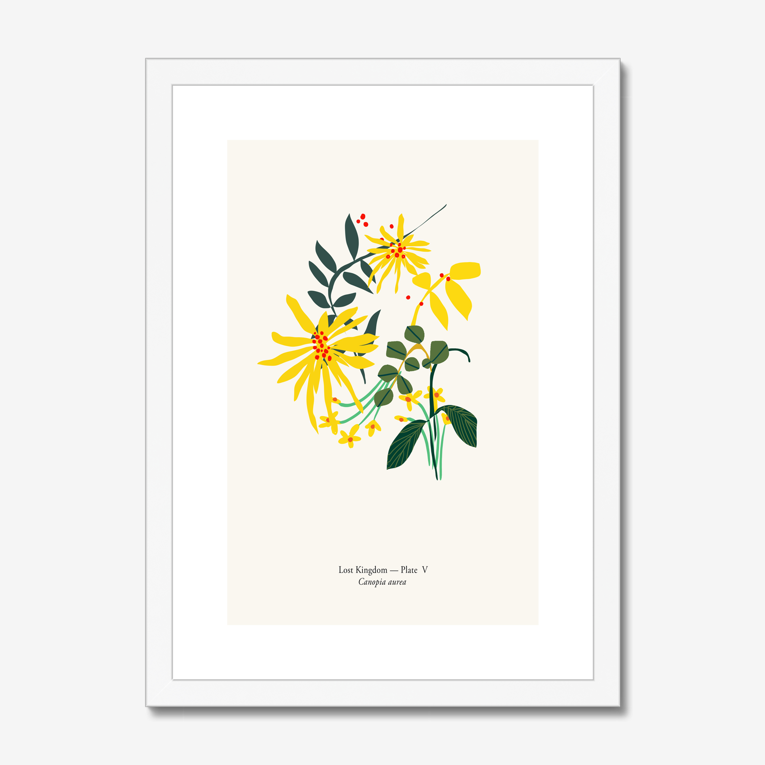 Canopia Aurea A4 botanical art print in white frame