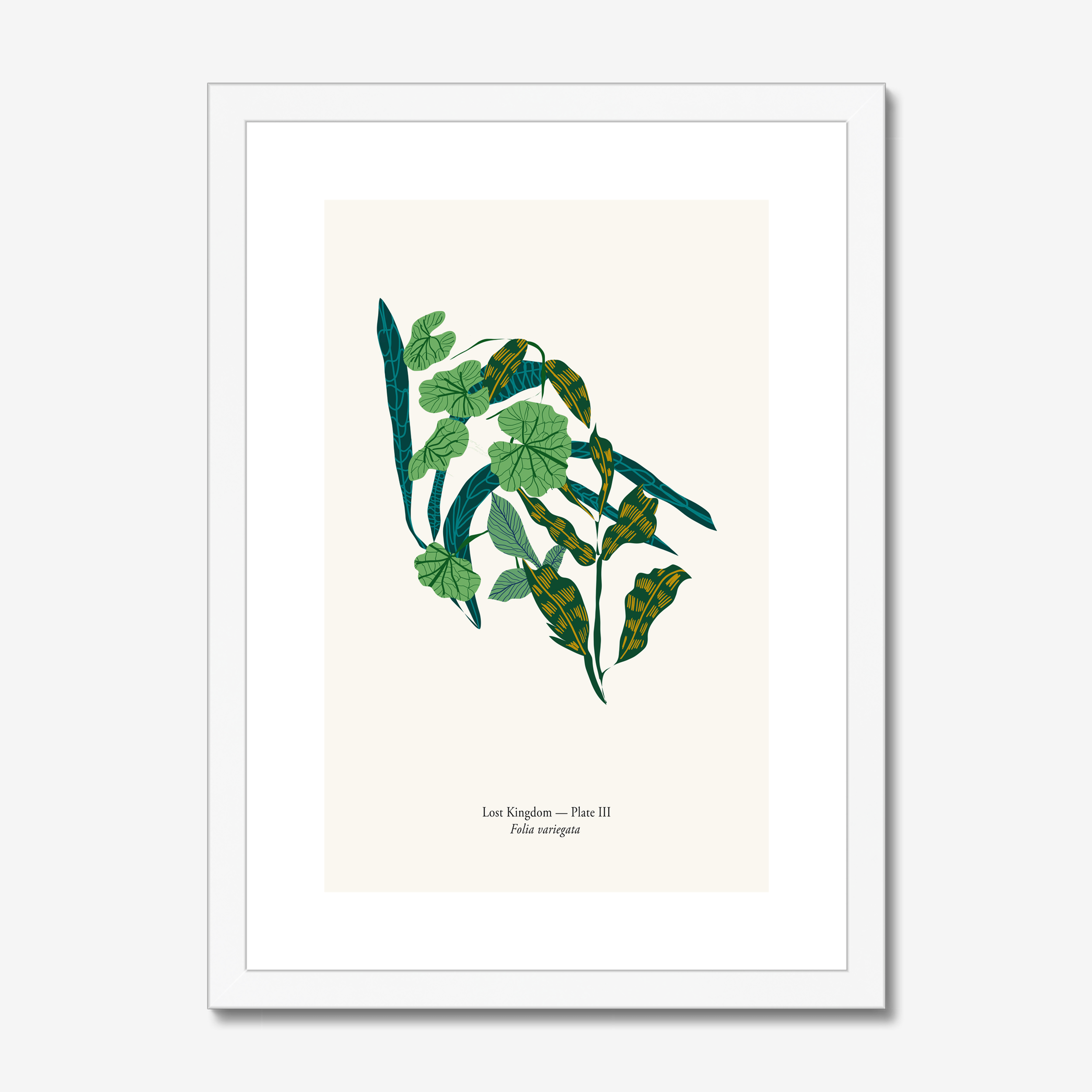 Folia Variegata A4 botanical art print in white frame