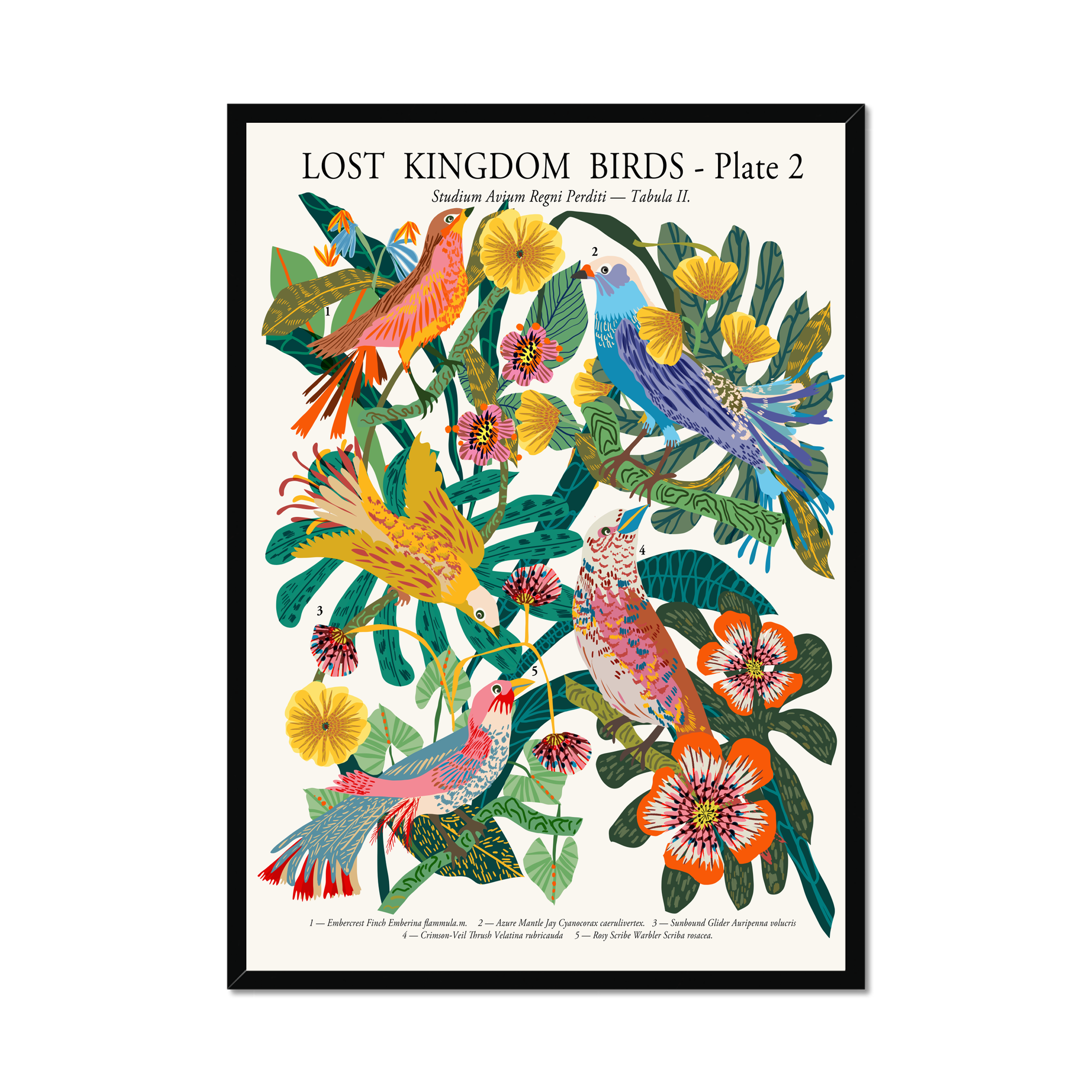 Lost Kingdom Birds Plate 2 botanical bird fine art print by Kitty McCall