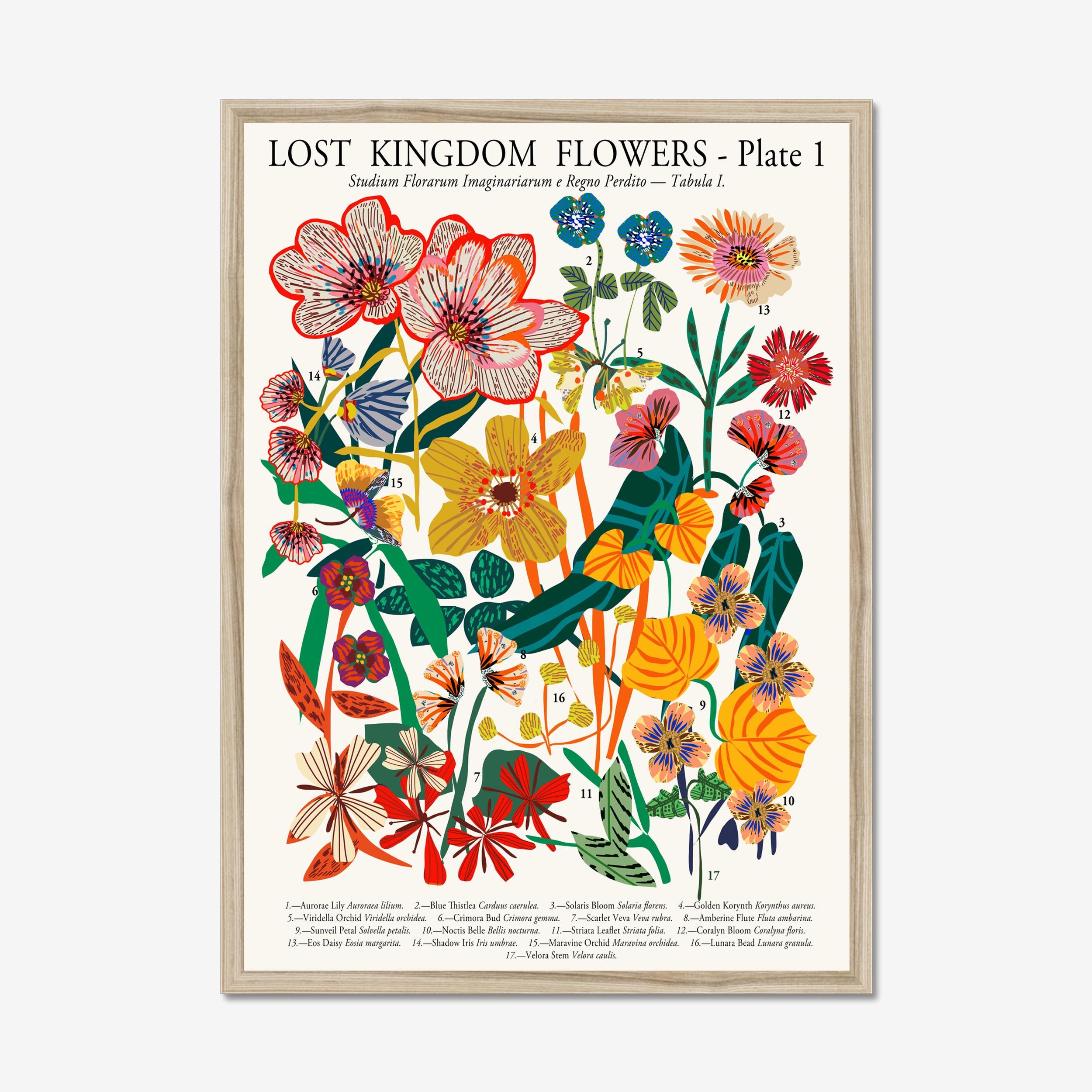 Lost Kingdom Flowers Plate I botanical art print in natural oak frame
