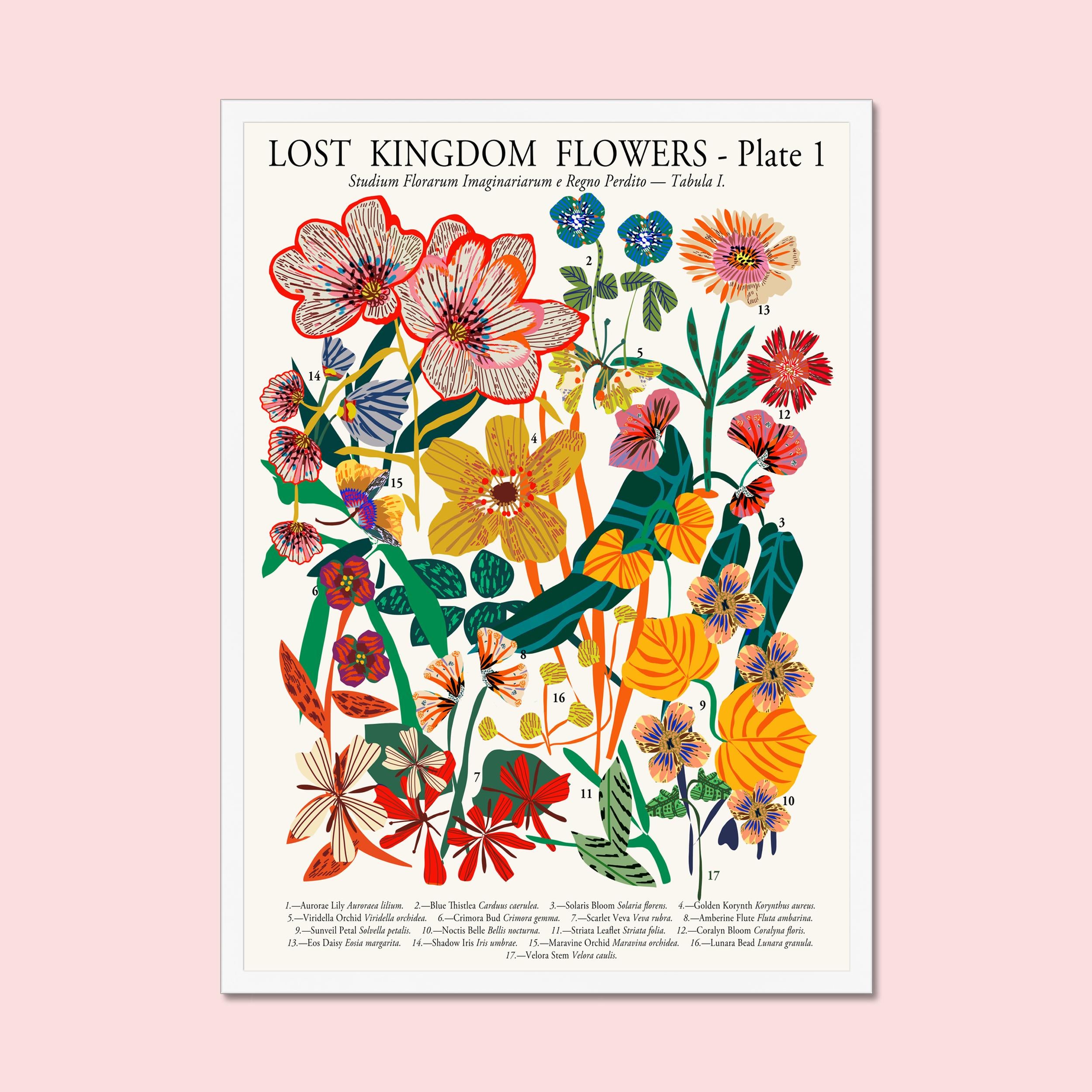 Lost Kingdom Flowers Plate I botanical art print in white frame