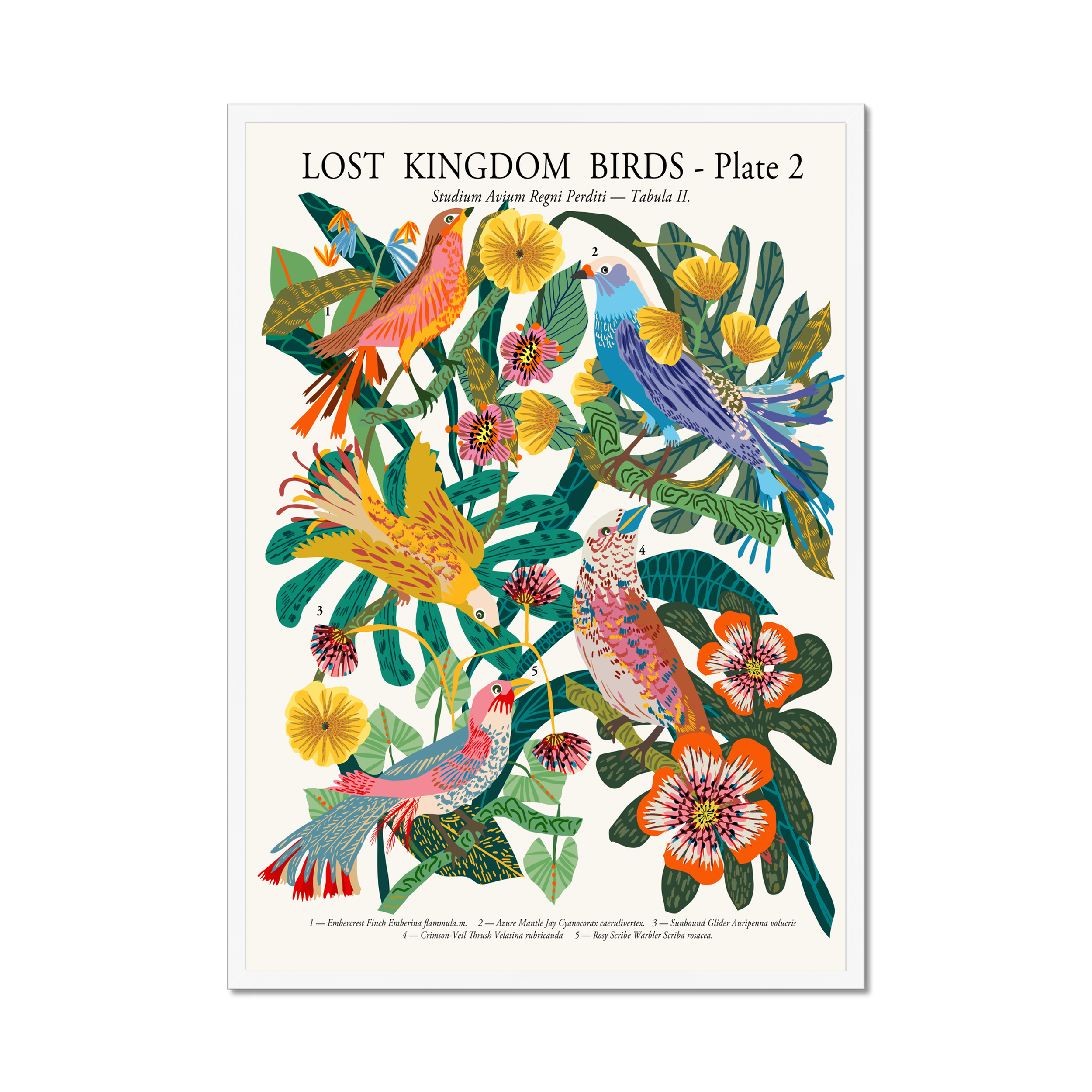 white framed botanical bird wall art print by Kitty McCall