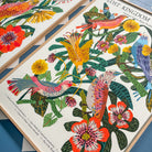 botanical bird fine art print close up on colourful blue floor.
