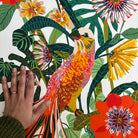 detail of Aureavia Mirabilis botanical illustration art print