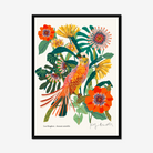Aureavia Mirabilis botanical fine art print from the Lost Kingdom series by Kitty McCall